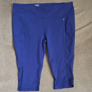 Danskin Now Blue Fitted Leggings